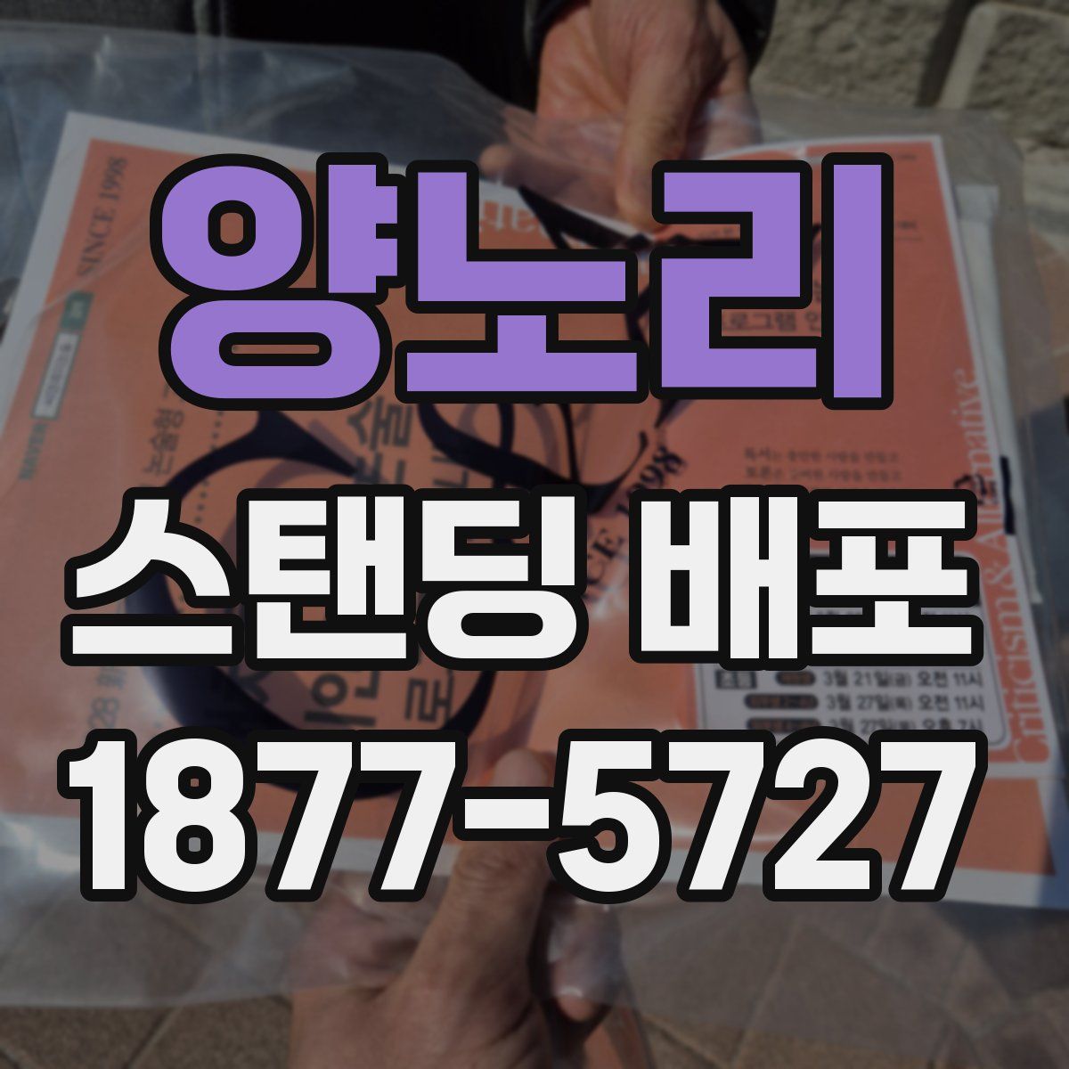 양노리 스탠딩 배포
