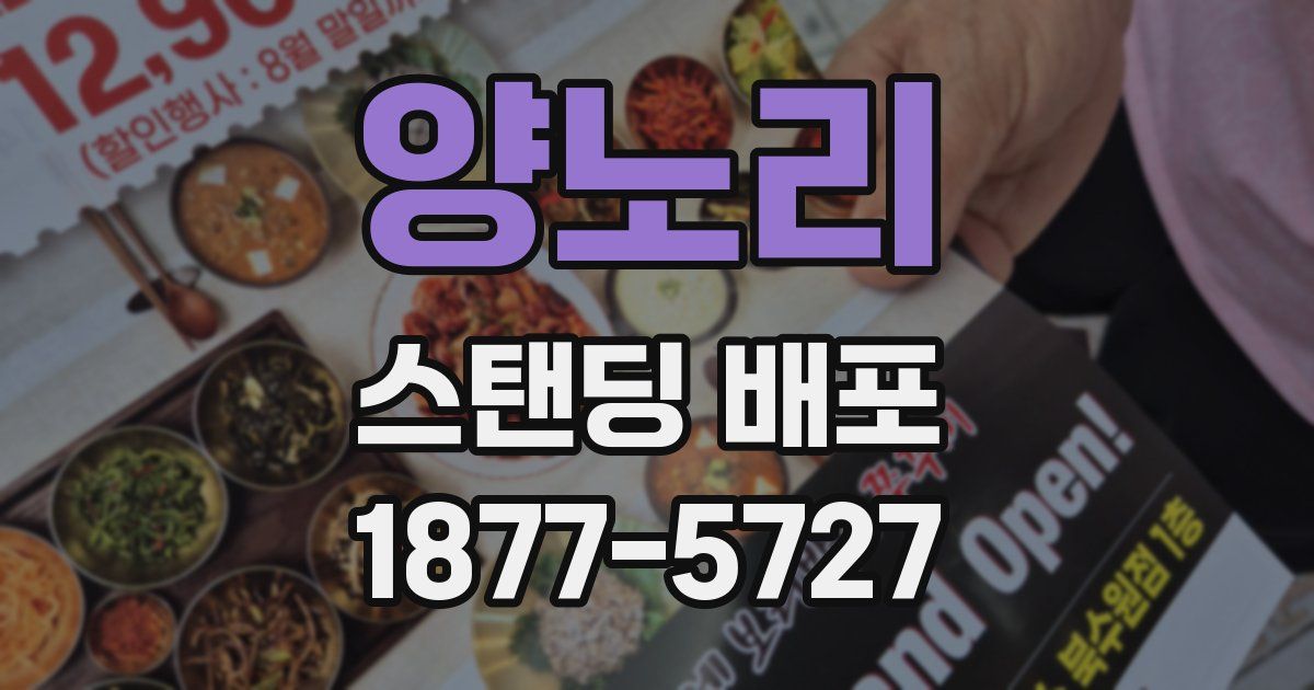 양노리 스탠딩 배포