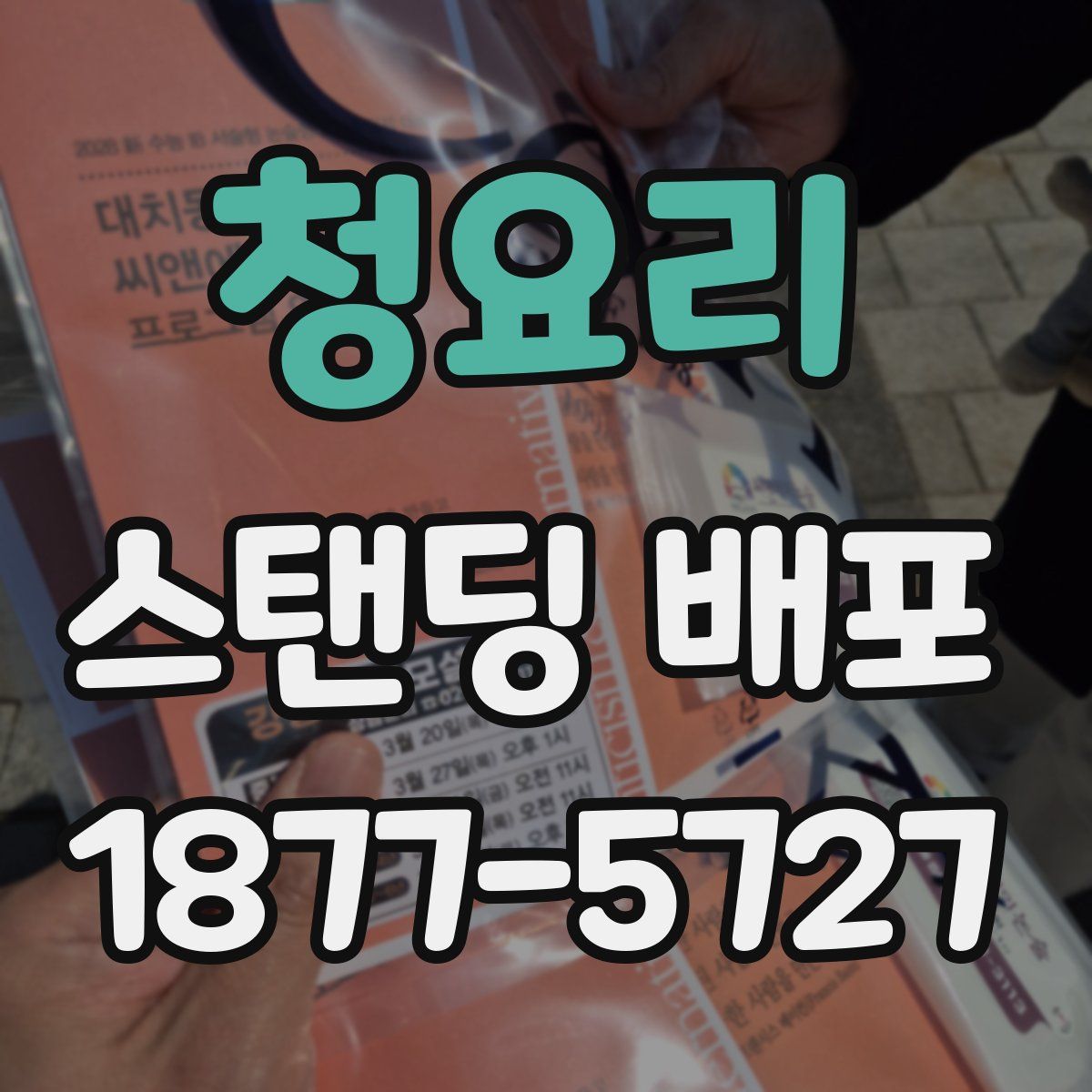 청요리 스탠딩 배포