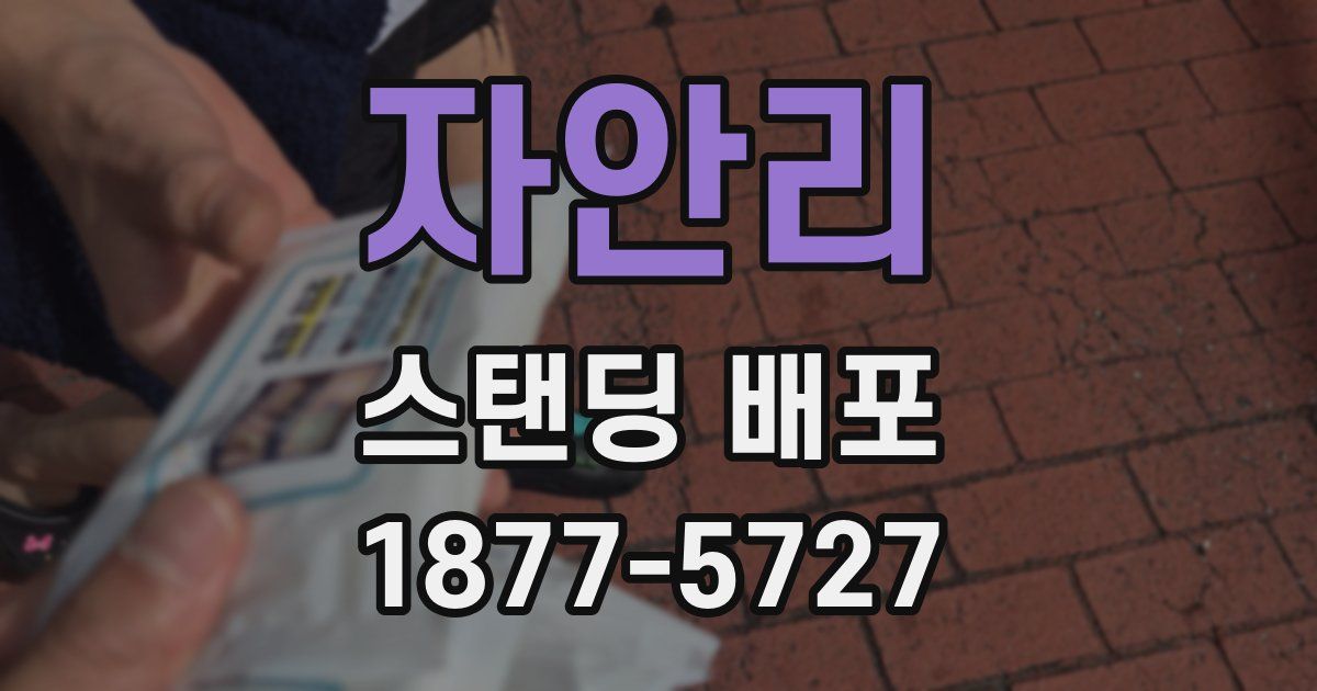자안리 스탠딩 배포
