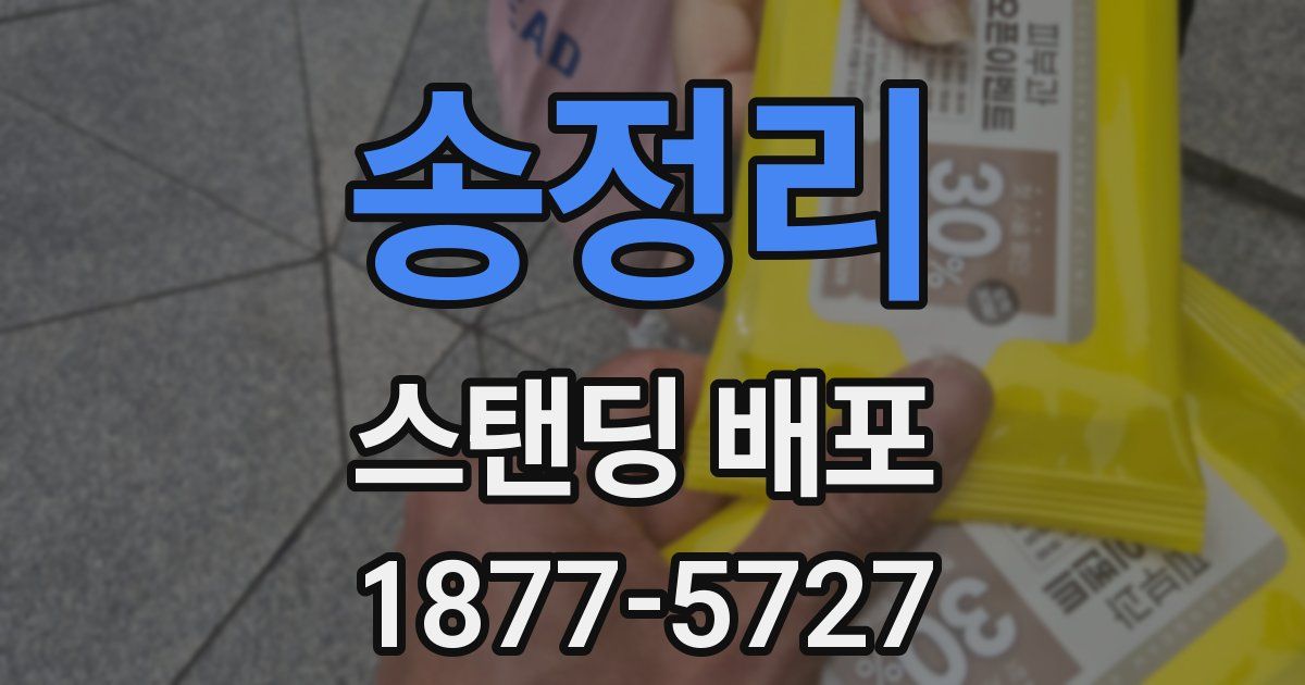 송정리 스탠딩 배포