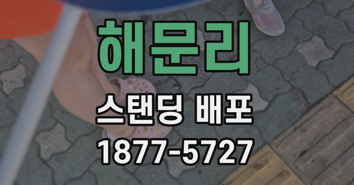 해문리 스탠딩 배포
