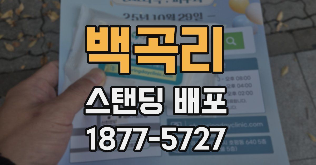 백곡리 스탠딩 배포