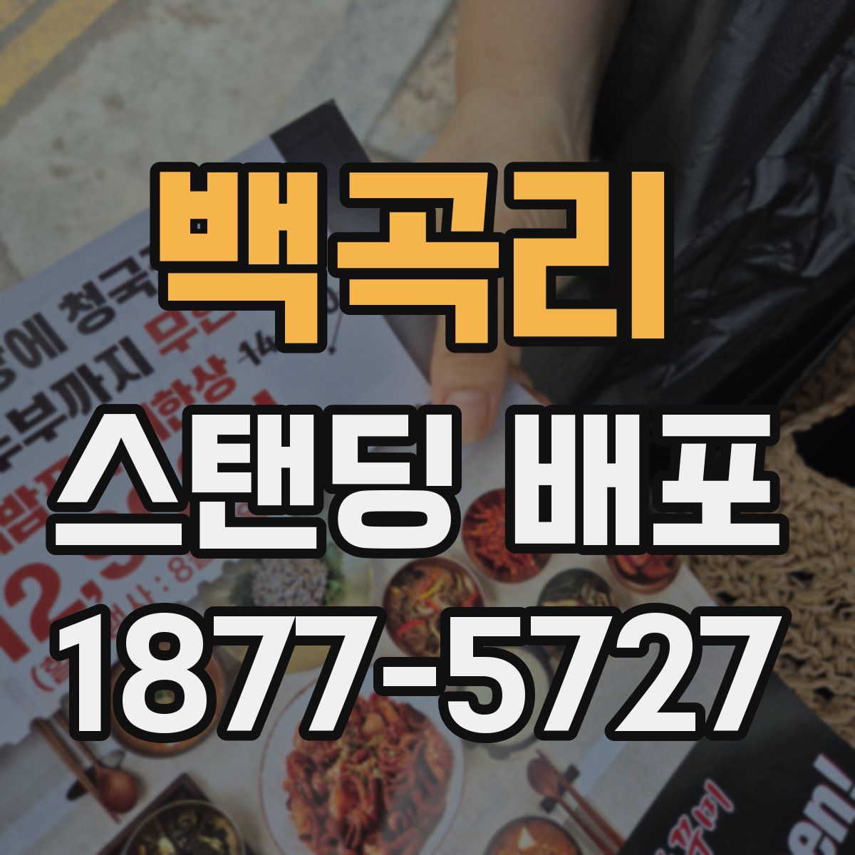 백곡리 스탠딩 배포