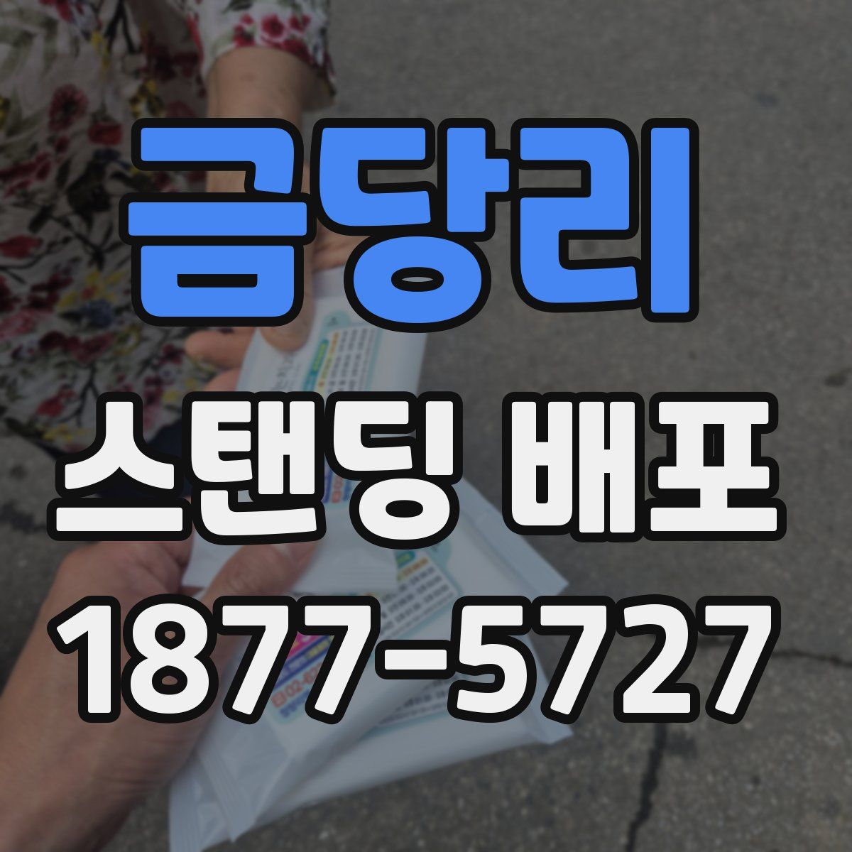 금당리 스탠딩 배포