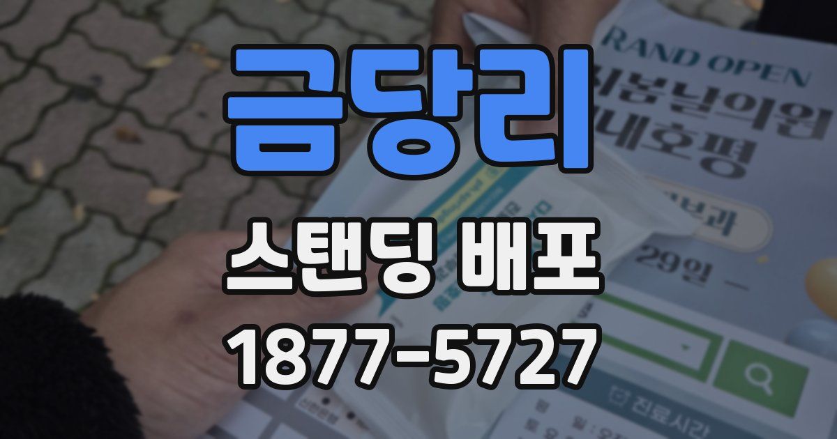 금당리 스탠딩 배포