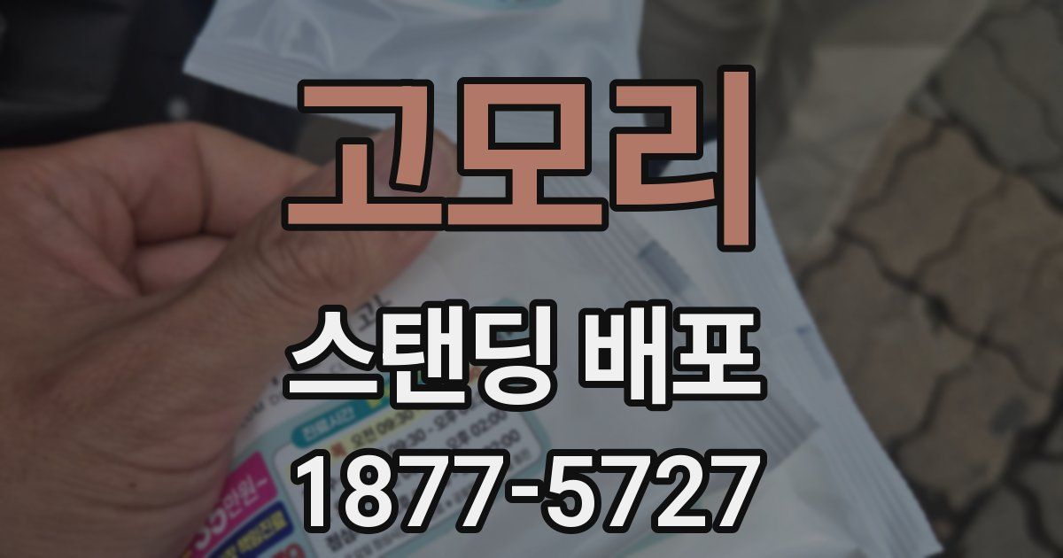 고모리 스탠딩 배포