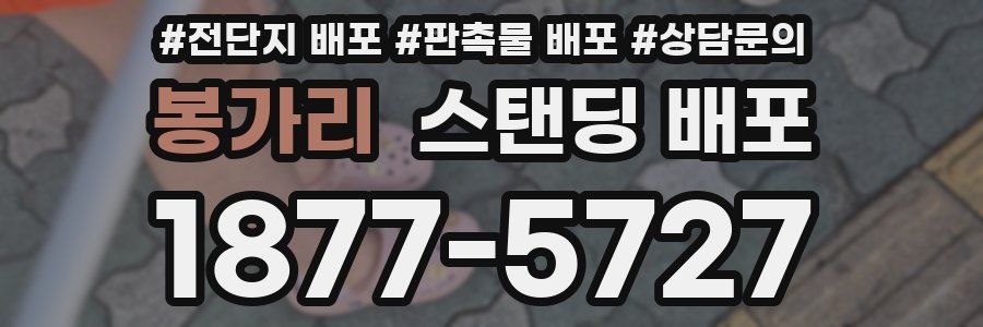 봉가리 스탠딩 배포