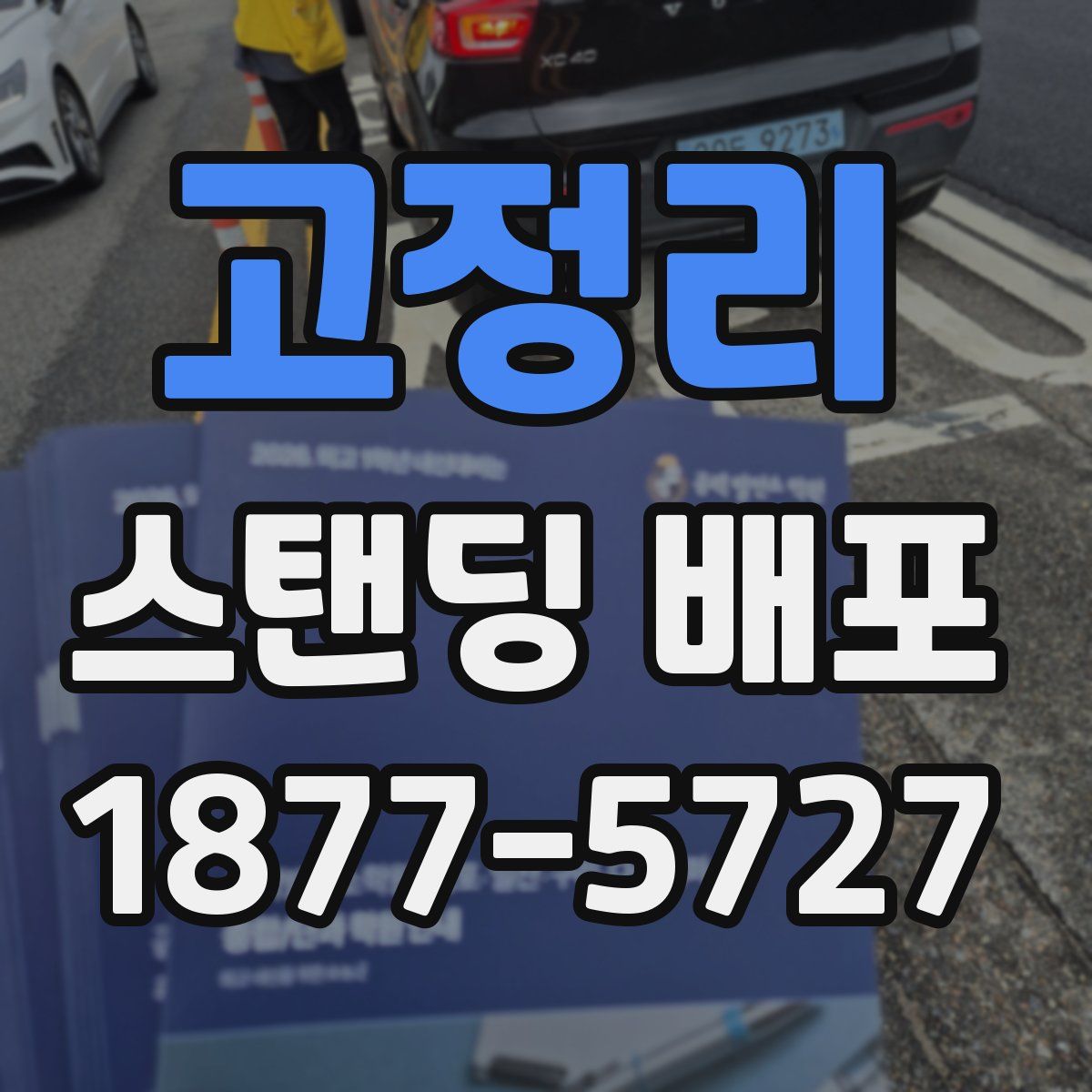 고정리 스탠딩 배포