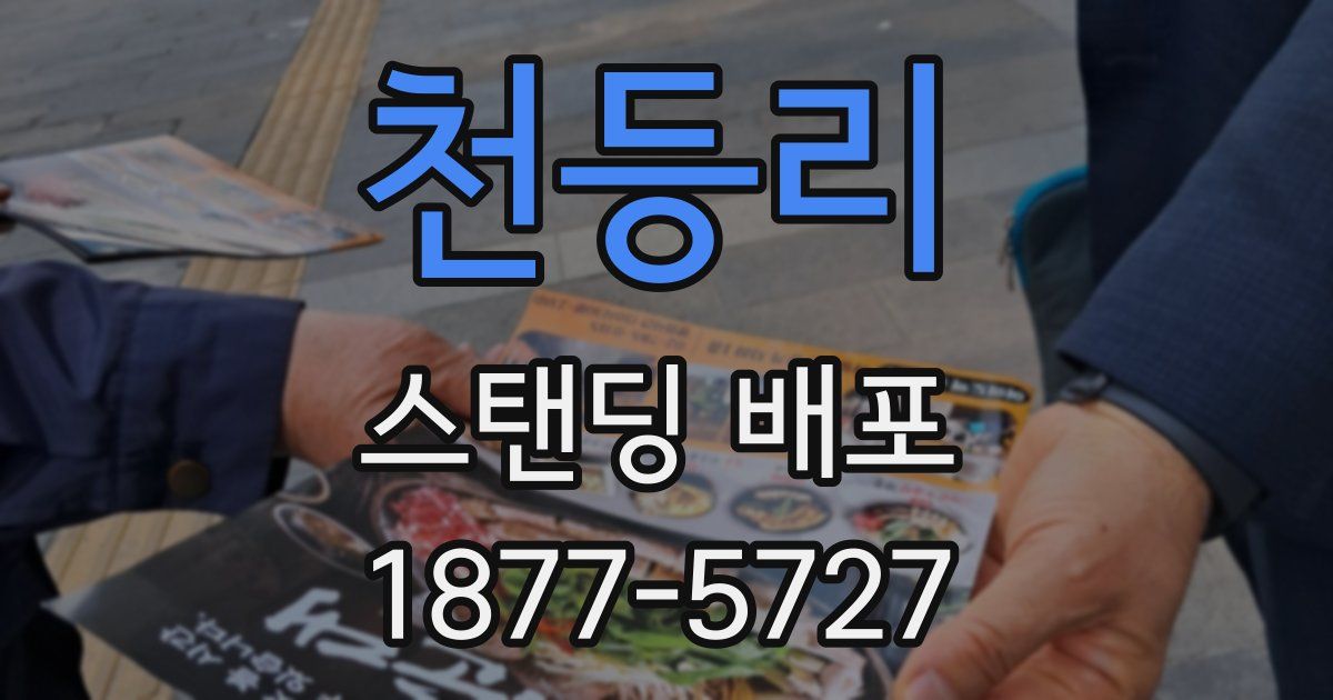 천등리 스탠딩 배포
