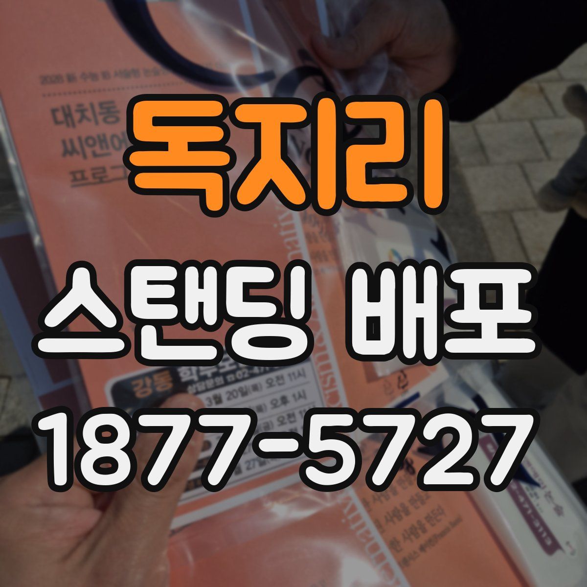 독지리 스탠딩 배포