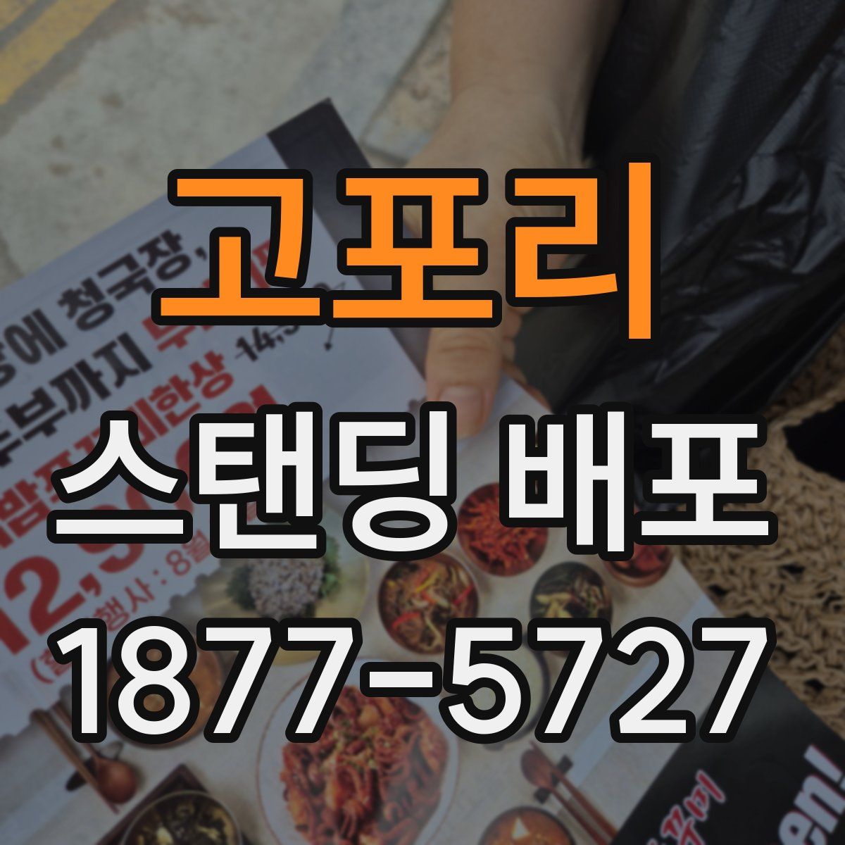 고포리 스탠딩 배포