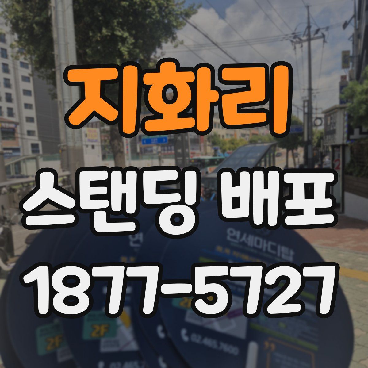 지화리 스탠딩 배포