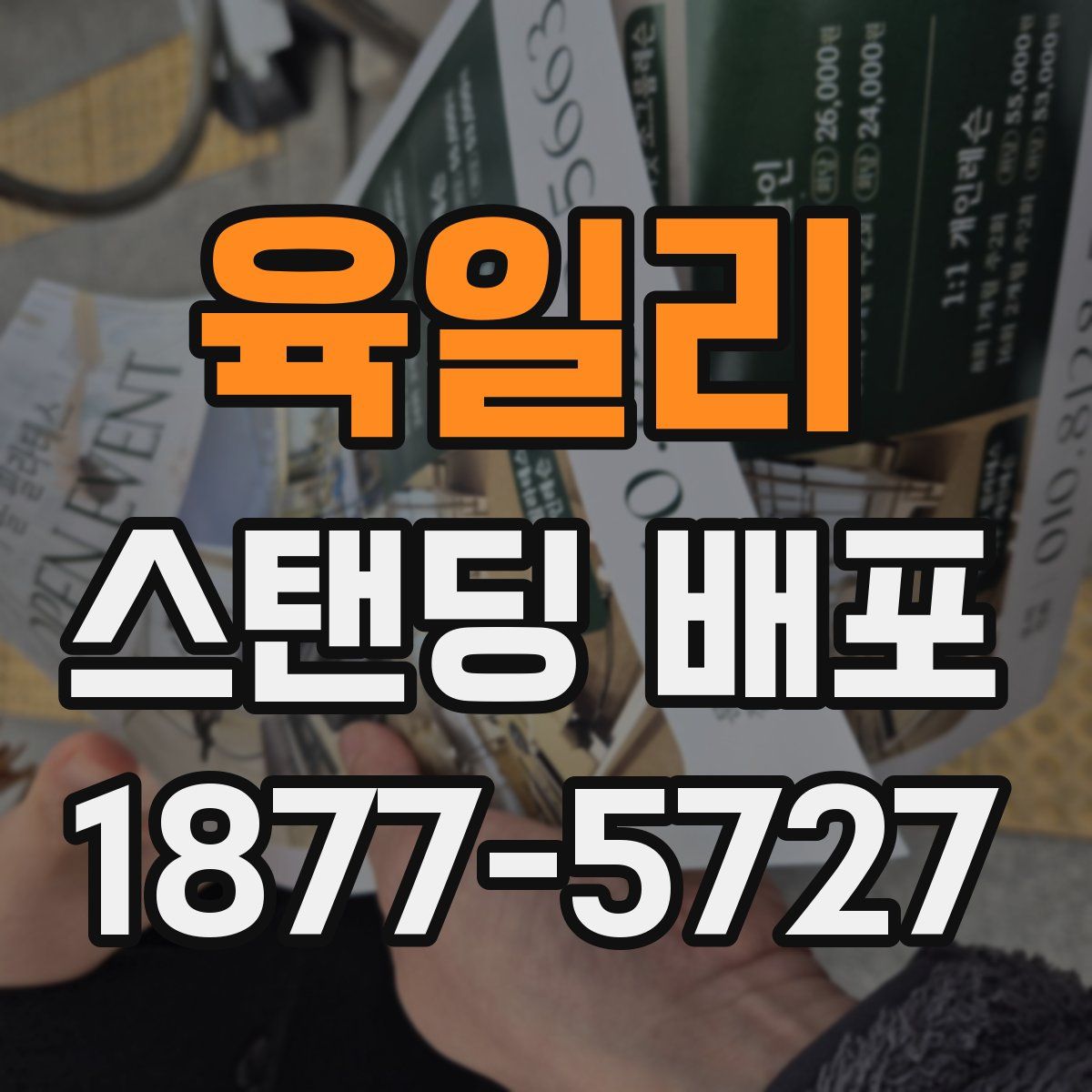 육일리 스탠딩 배포