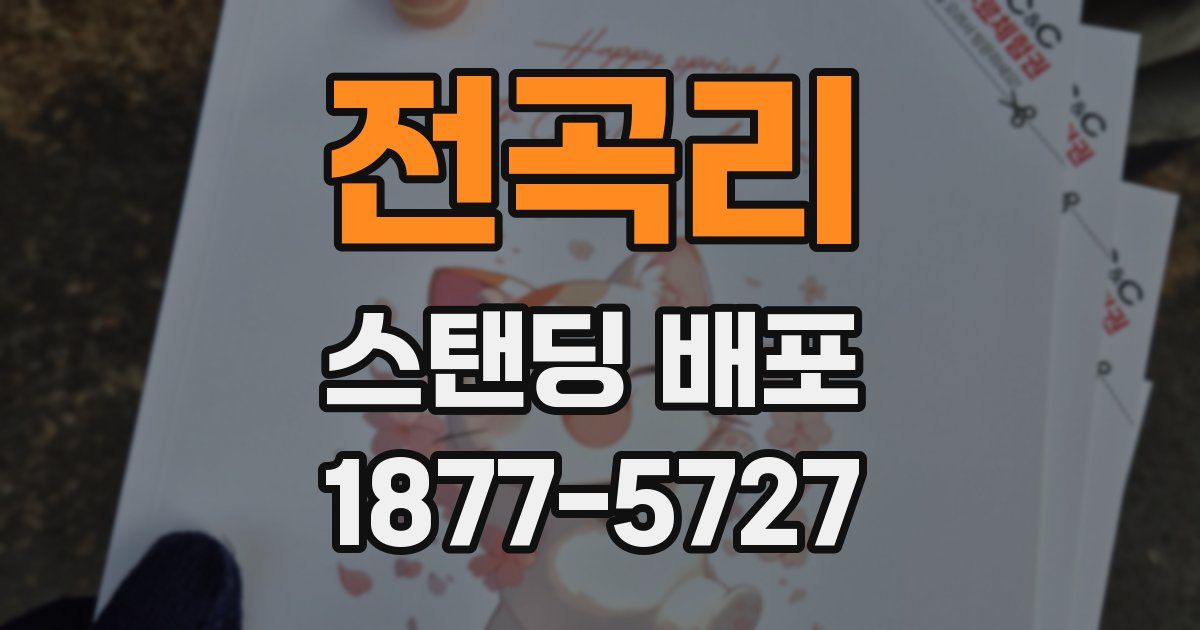 전곡리 스탠딩 배포