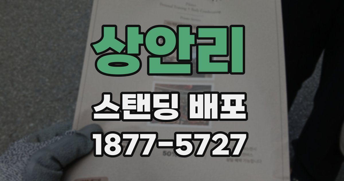상안리 스탠딩 배포