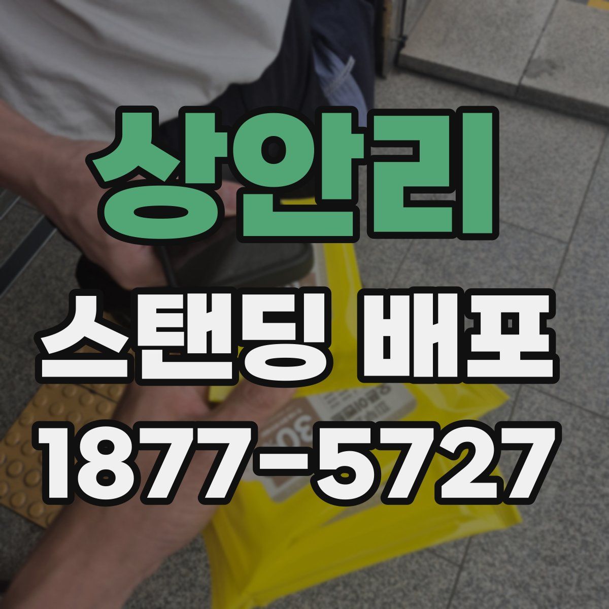 상안리 스탠딩 배포