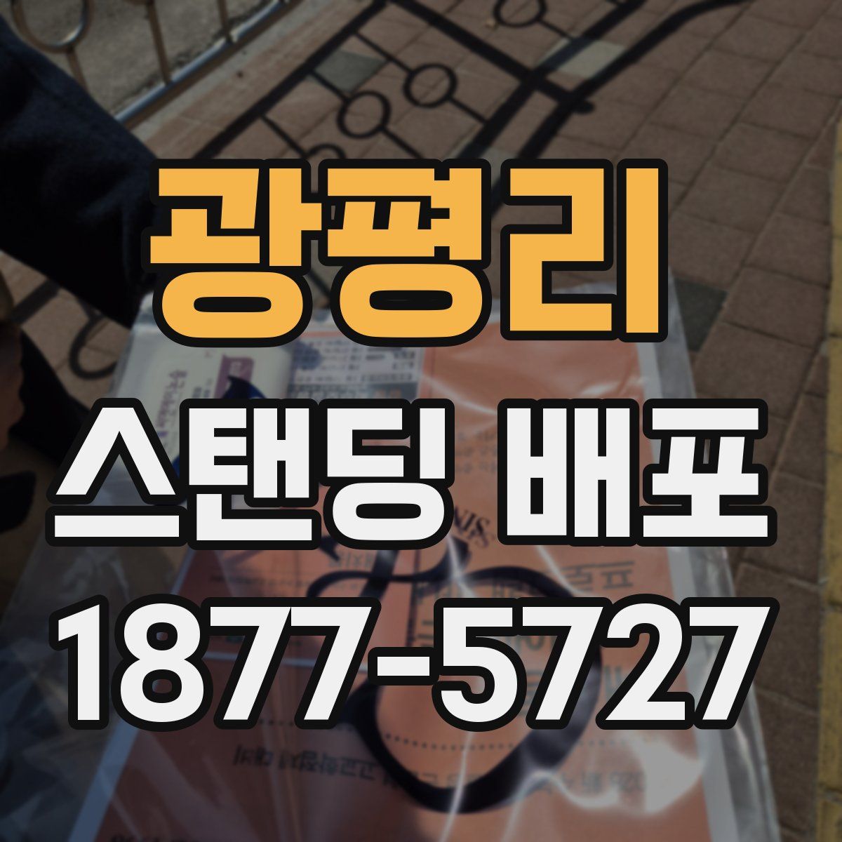 광평리 스탠딩 배포