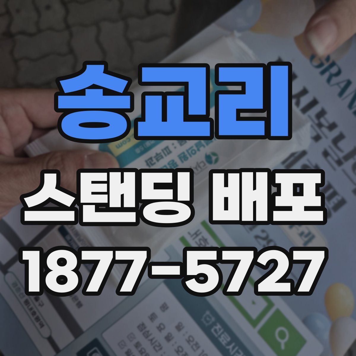 송교리 스탠딩 배포