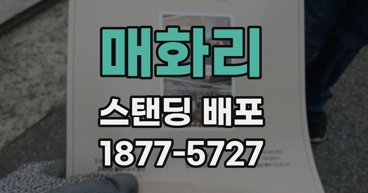 매화리 스탠딩 배포