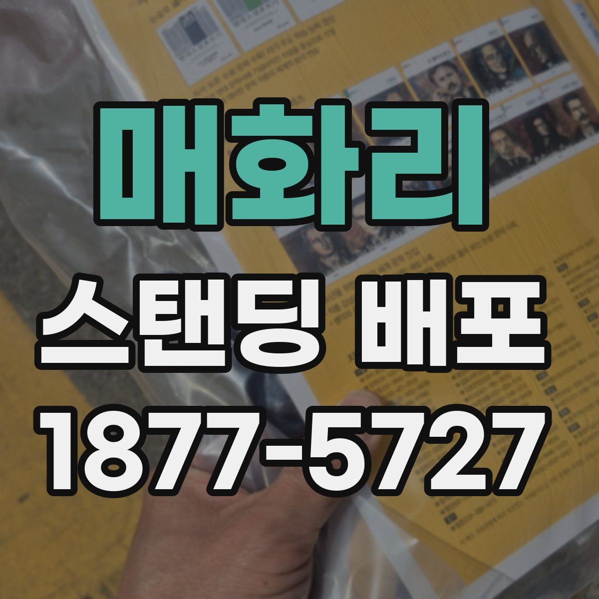 매화리 스탠딩 배포