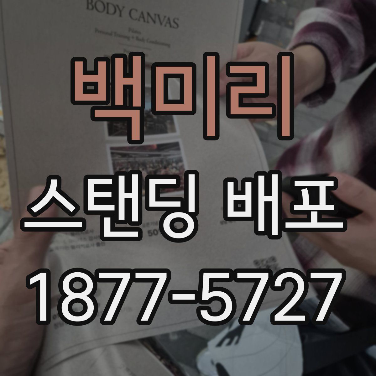 백미리 스탠딩 배포