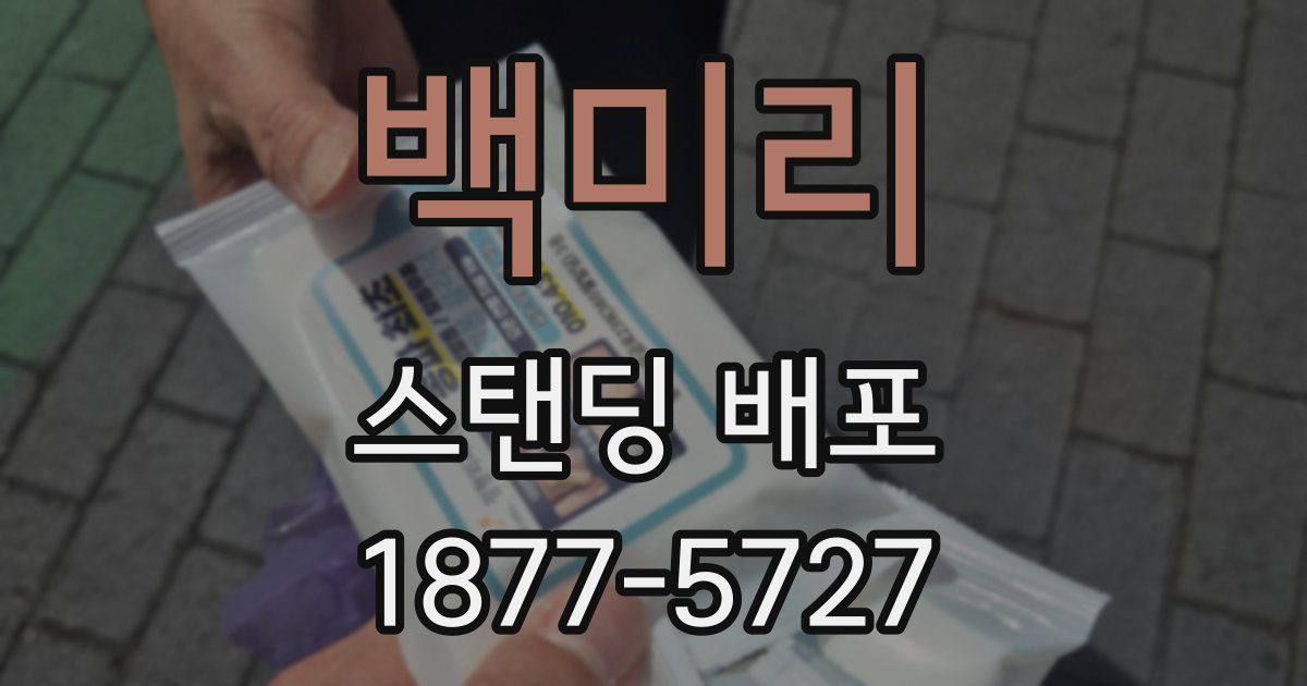 백미리 스탠딩 배포