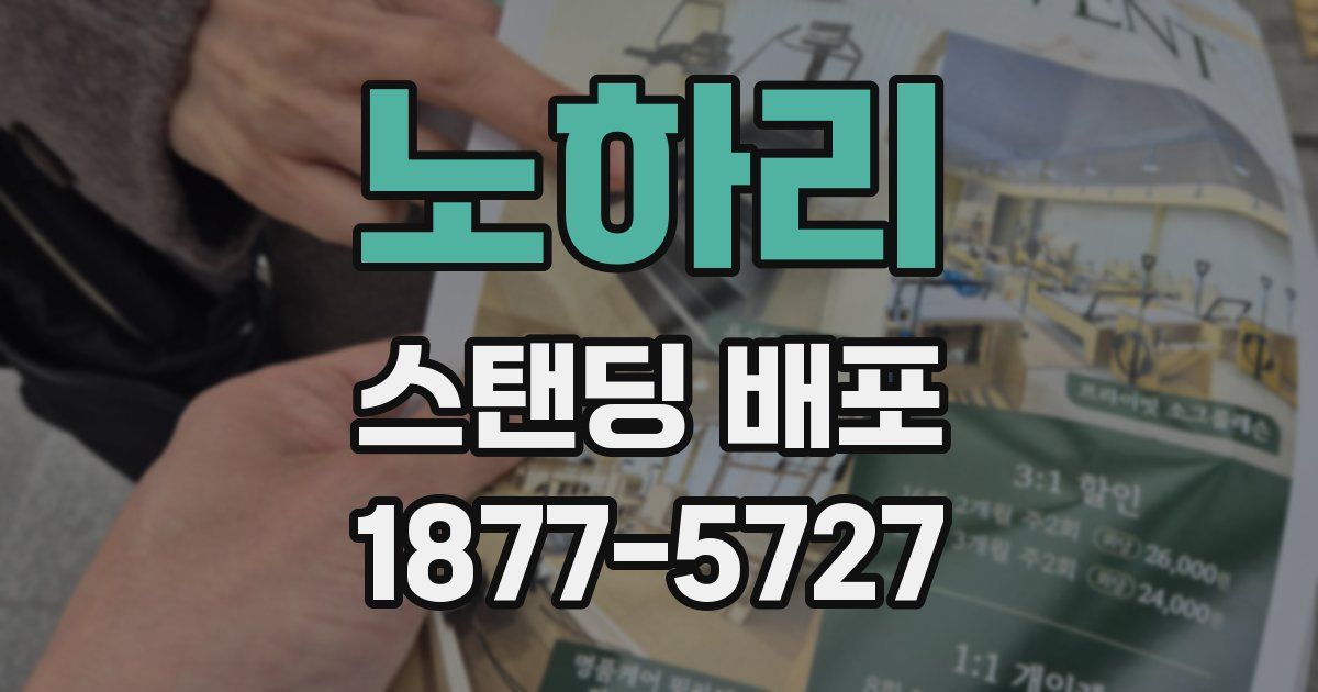 노하리 스탠딩 배포