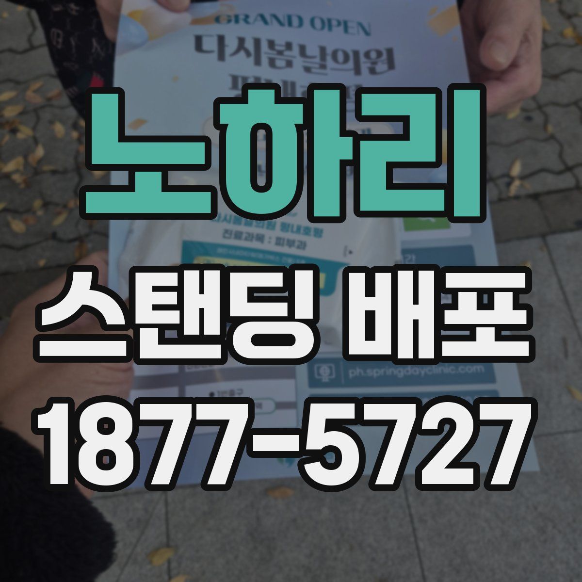 노하리 스탠딩 배포