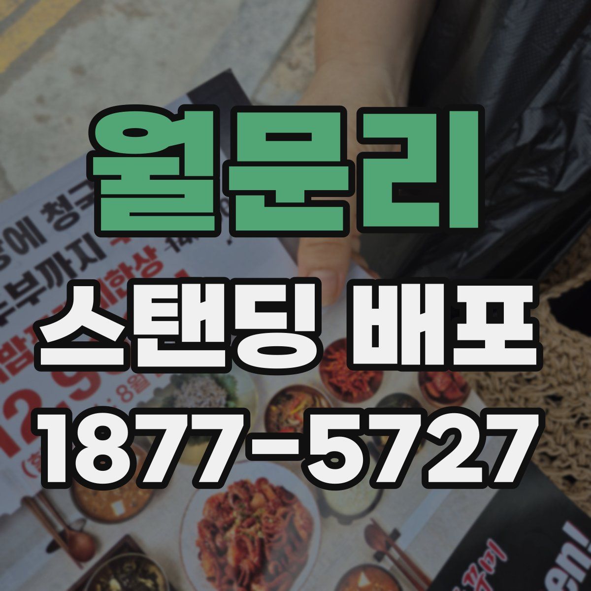 월문리 스탠딩 배포
