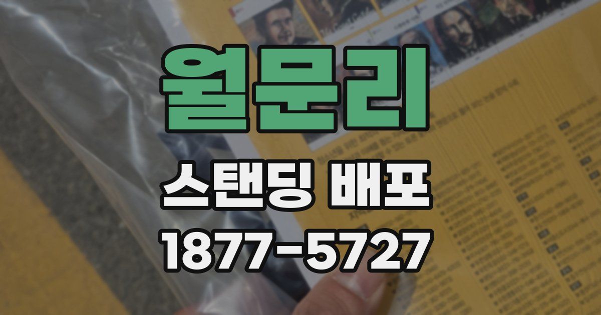 월문리 스탠딩 배포