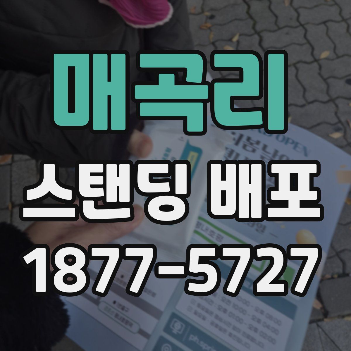 매곡리 스탠딩 배포