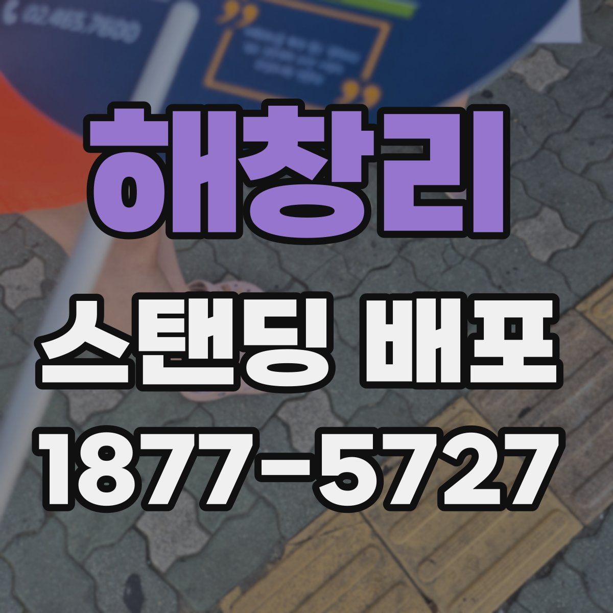 해창리 스탠딩 배포