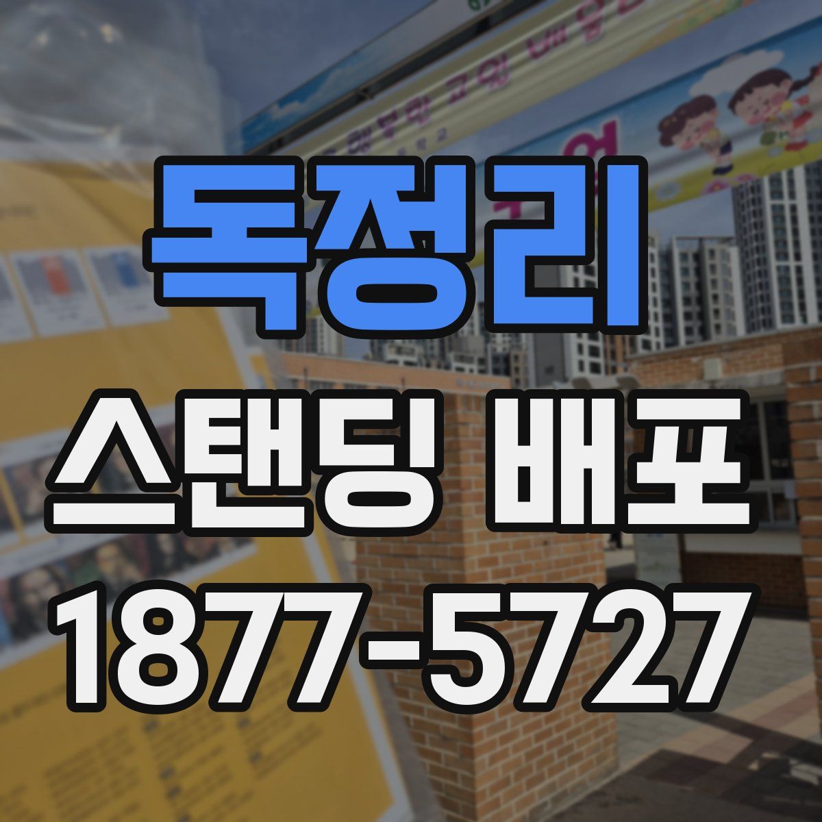 독정리 스탠딩 배포