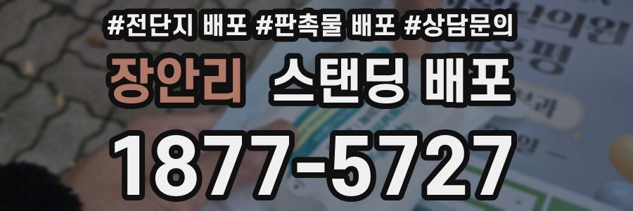 장안리 스탠딩 배포