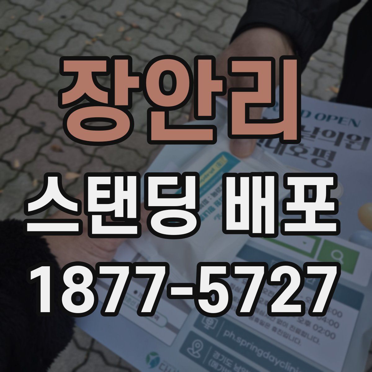 장안리 스탠딩 배포