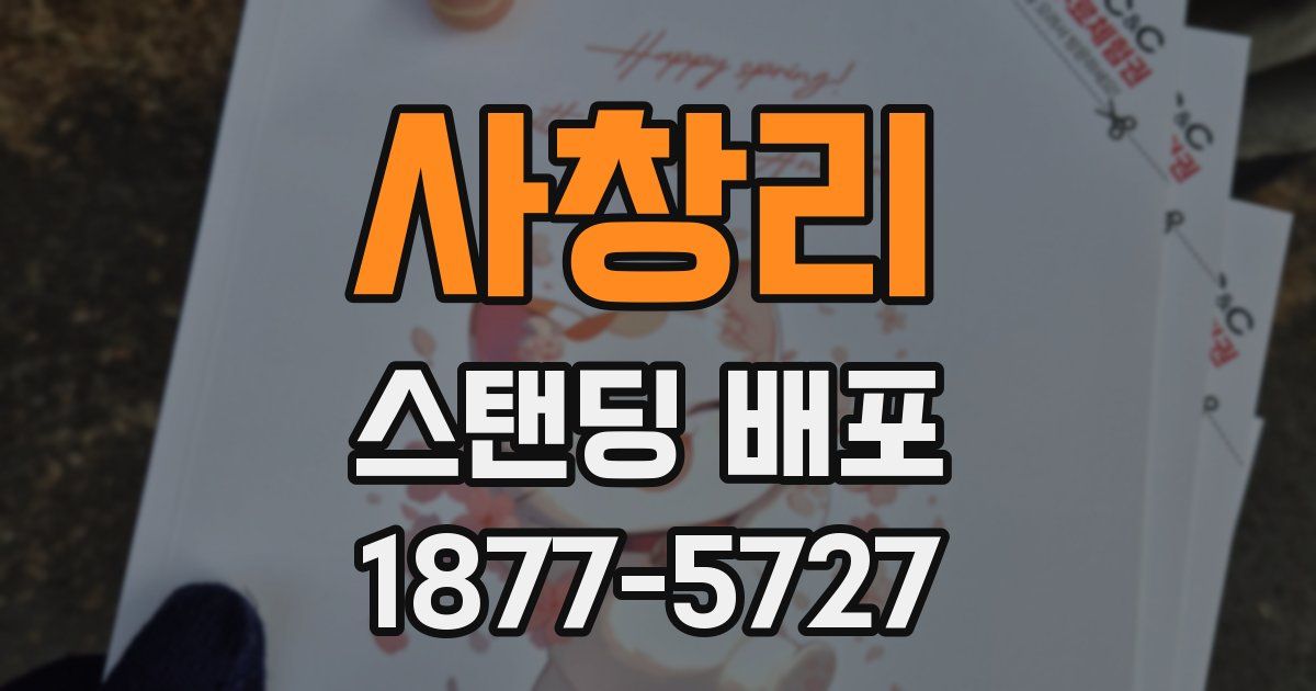사창리 스탠딩 배포