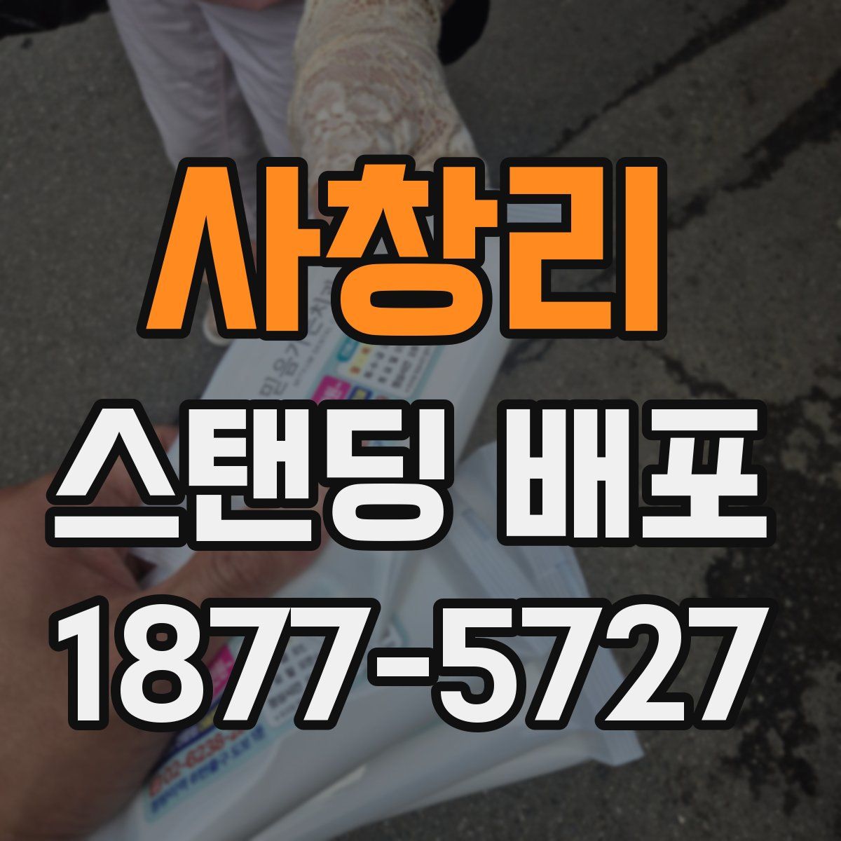 사창리 스탠딩 배포