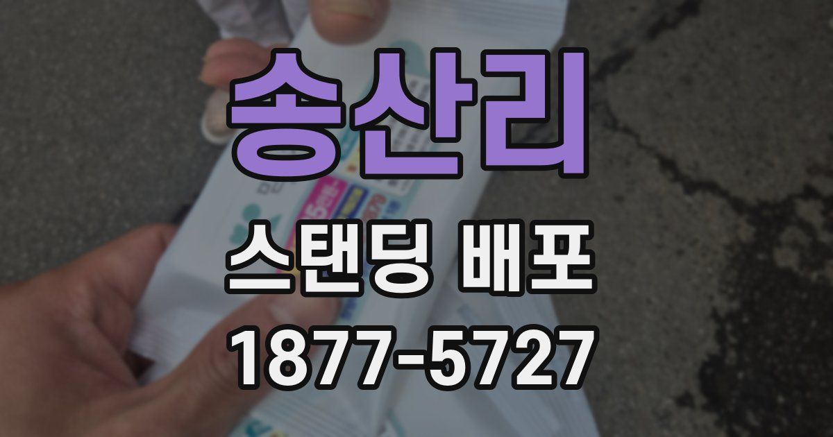 송산리 스탠딩 배포