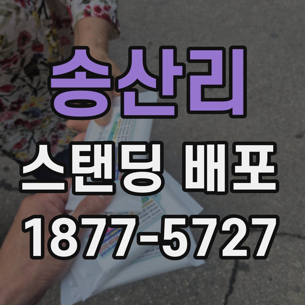 송산리 스탠딩 배포