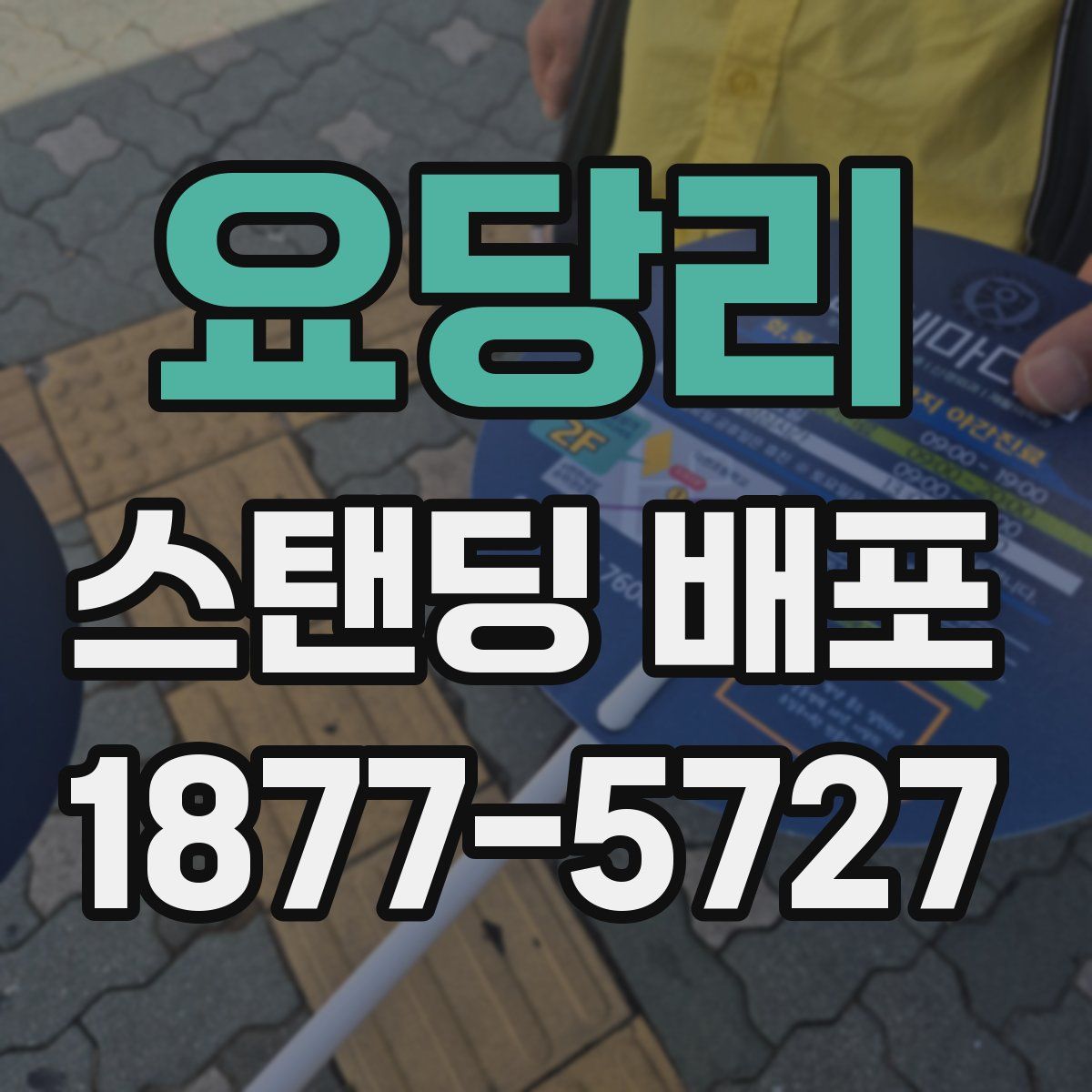 요당리 스탠딩 배포