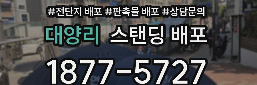대양리 스탠딩 배포