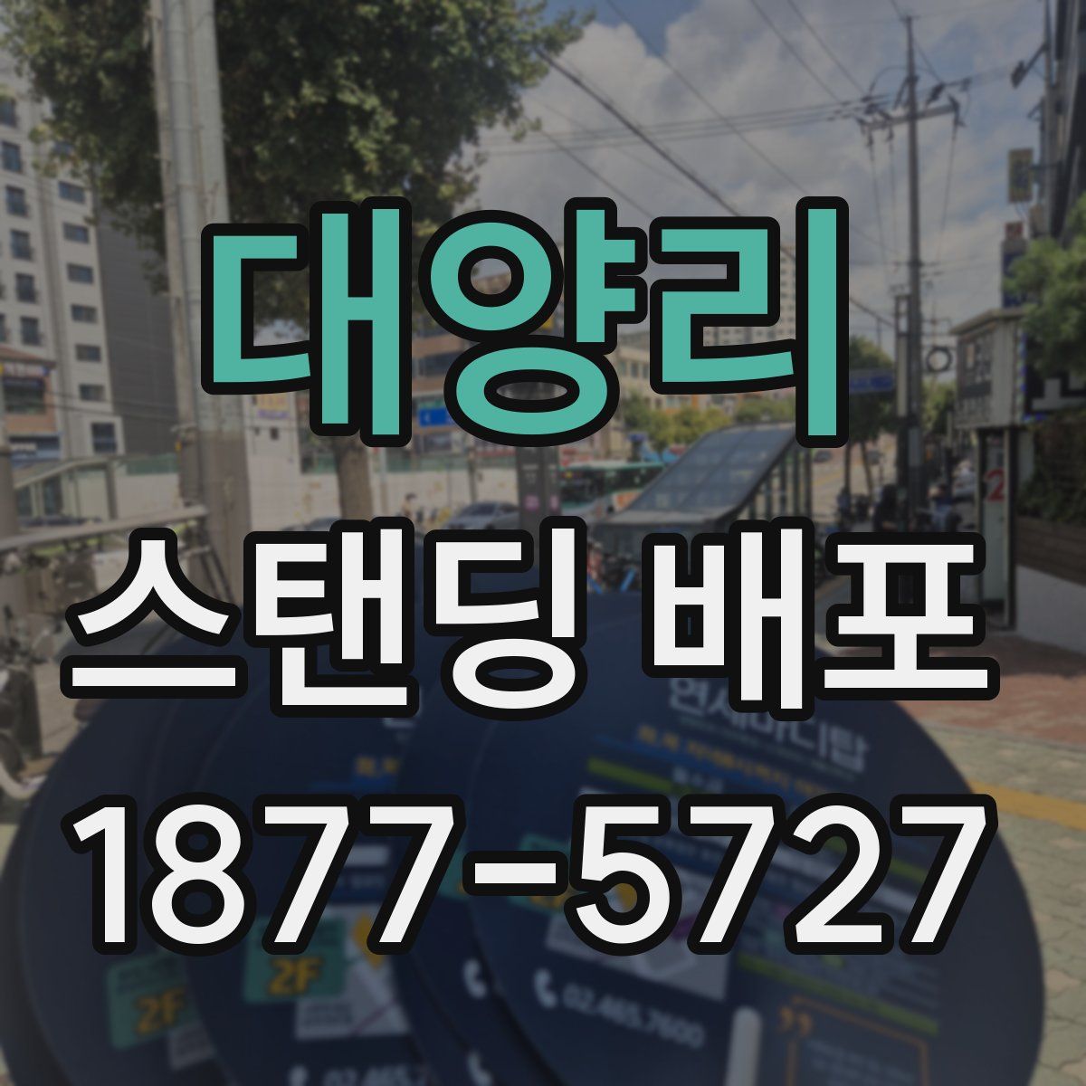 대양리 스탠딩 배포