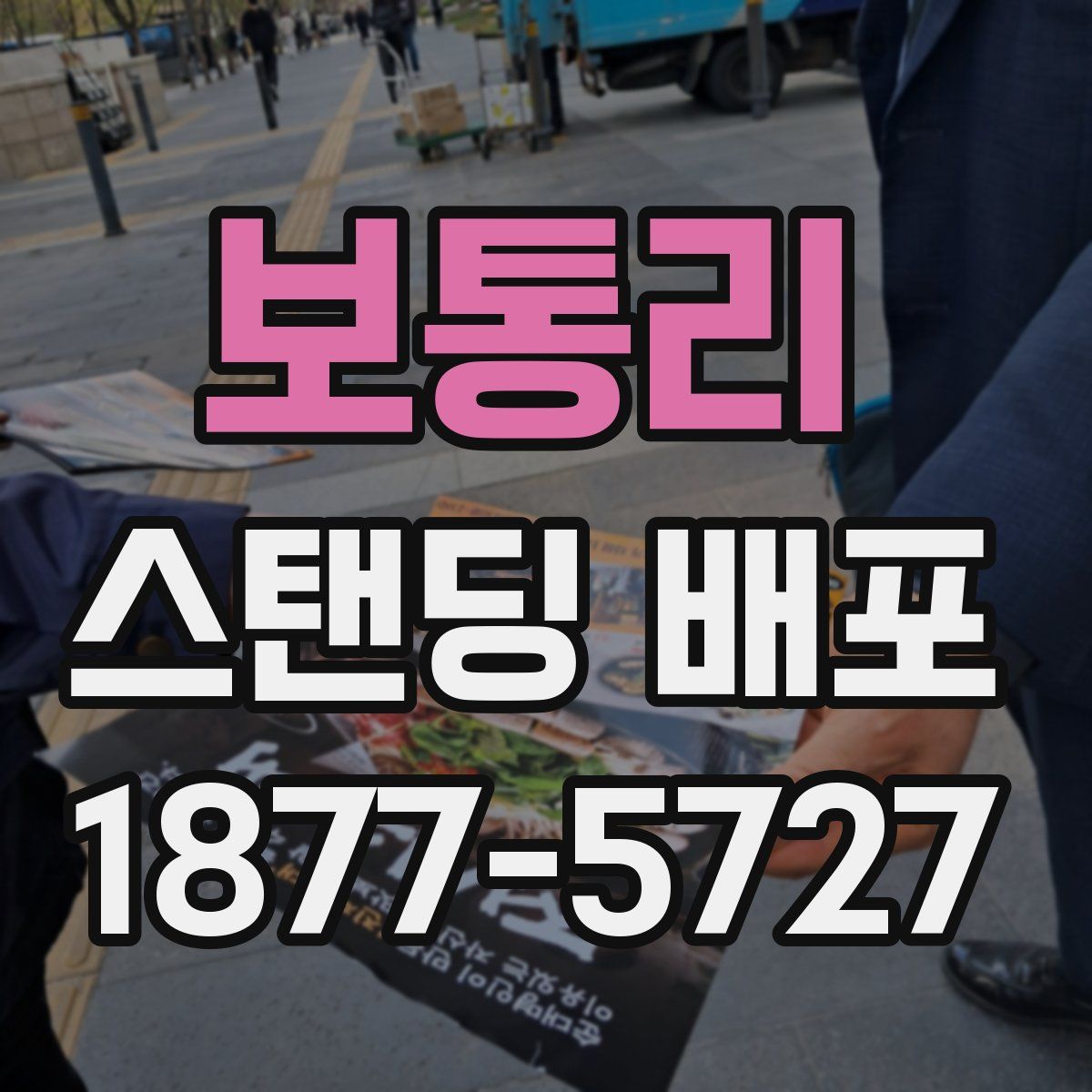 보통리 스탠딩 배포