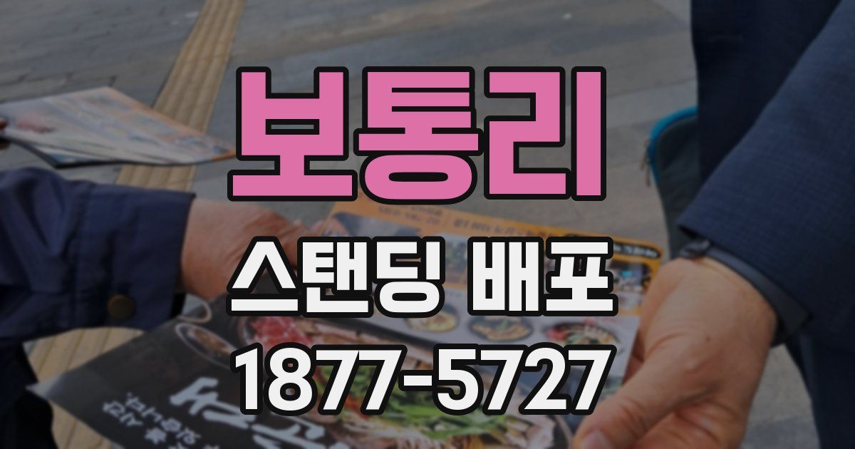 보통리 스탠딩 배포