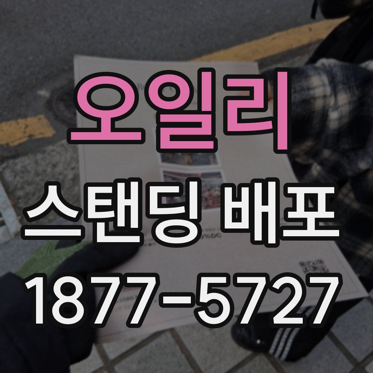오일리 스탠딩 배포