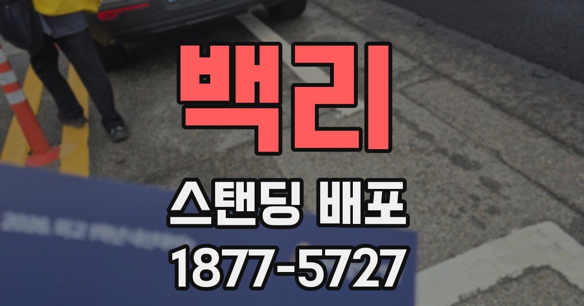 백리 스탠딩 배포
