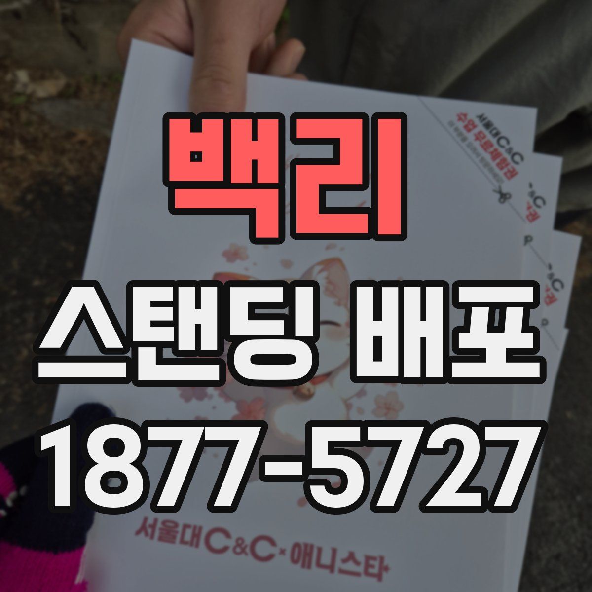 백리 스탠딩 배포