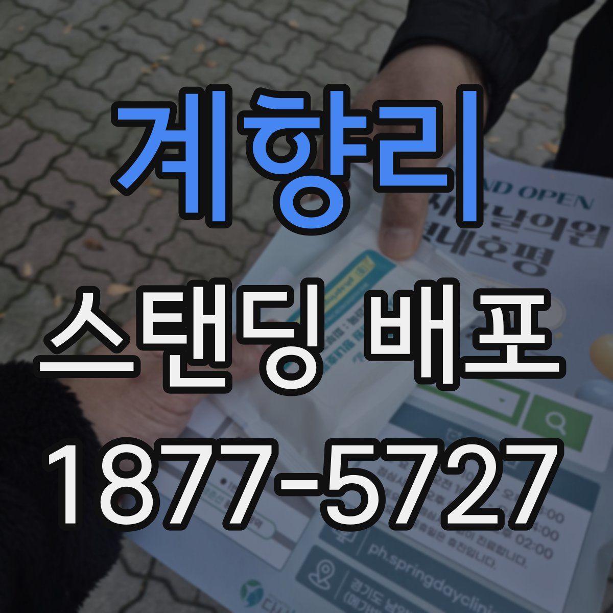 계향리 스탠딩 배포