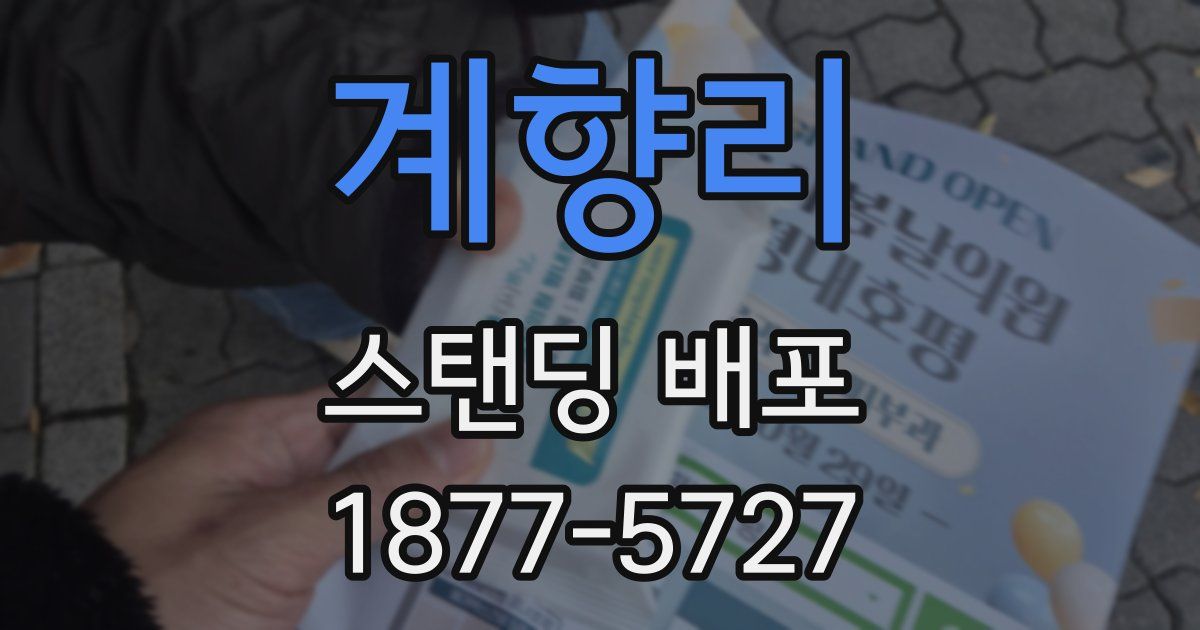 계향리 스탠딩 배포